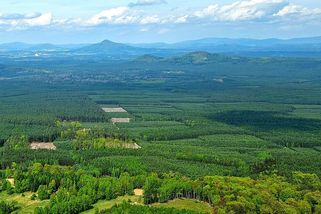 Z lesa se vyřítil sovětský tank a hlavní rozpáral plně obsazený český zájezdový autobus - Médium.cz